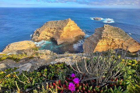 6-Day Eyre Peninsula & Flinders Ranges Adventure Tour - Attractions Sydney 10