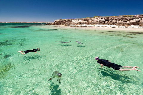 6-Day Eyre Peninsula & Flinders Ranges Adventure Tour - Attractions Sydney 6