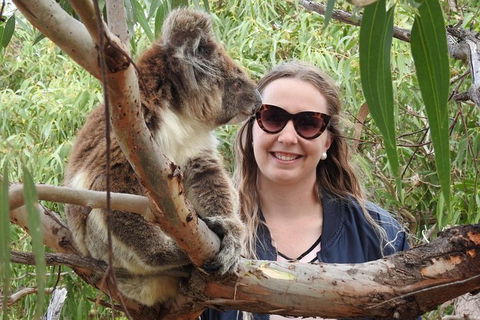 6-Day Eyre Peninsula & Flinders Ranges Adventure Tour - Attractions Sydney 8