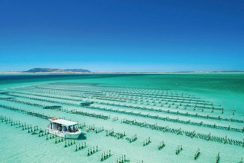 Coffin Bay Private Day Tour From Port Lincoln - A Taste Of Coffin Bay - Attractions Sydney 0