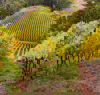 Private Adelaide Hills Wine Region Tour - Attractions Sydney