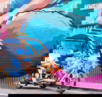 Adelaide 90-Minute Pedicab Tour Street Art Experience - Attractions Sydney