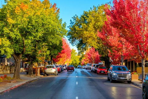 Adelaide City Highlights With Hahndorf And Mt. Lofty - Attractions Sydney 7