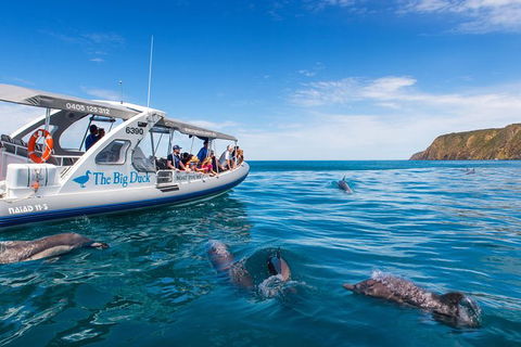 Victor Harbor And McLaren Vale Wine Region Day Tour - Attractions Sydney 6