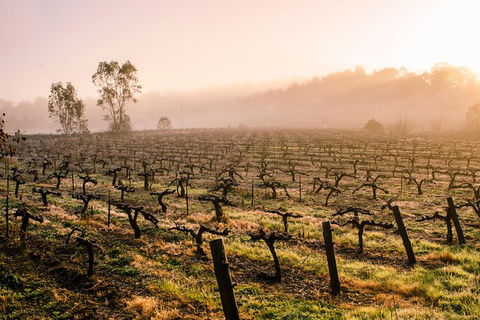 Barossa Valley Private Tour, It\'s Your Tour The Way You Want It!. - Attractions Sydney 0