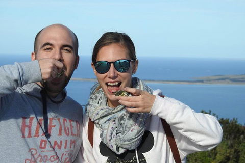 3-Day Port Lincoln And Coffin Bay Private Tour From Adelaide - Attractions Sydney 1