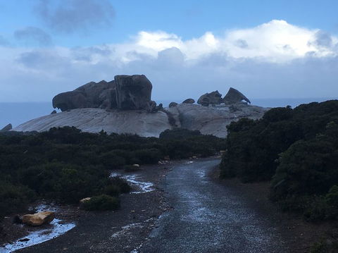 2-Day Kangaroo Island Tour From Adelaide - Attractions Sydney 20