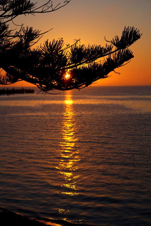 2-Day Kangaroo Island Tour From Adelaide - Attractions Sydney 14