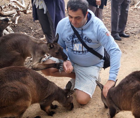 2-Day Kangaroo Island Tour From Adelaide - Attractions Sydney 15