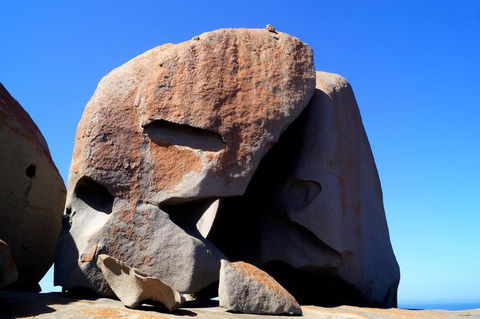2-Day Kangaroo Island Tour From Adelaide - Attractions Sydney 11