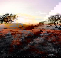 Adelaide To Coober Pedy 7 DAY SMALL GROUP 4WD SAFARI - Attractions Sydney