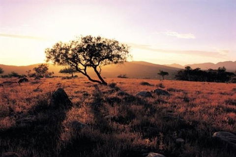 Adelaide To Coober Pedy 7 DAY SMALL GROUP 4WD SAFARI - Attractions Sydney 0