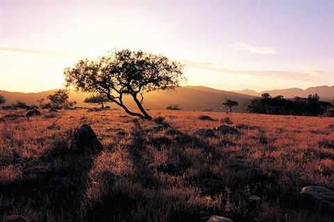Adelaide To Coober Pedy 7 DAY SMALL GROUP 4WD SAFARI - Attractions Sydney 4