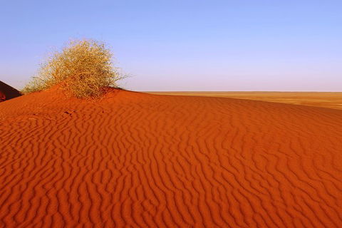 Adelaide To Coober Pedy 7 DAY SMALL GROUP 4WD SAFARI - Attractions Sydney 3