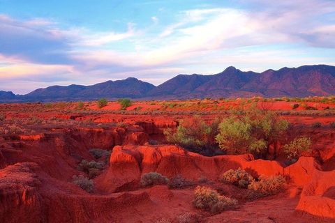 Adelaide To Coober Pedy 7 DAY SMALL GROUP 4WD SAFARI - Attractions Sydney 7