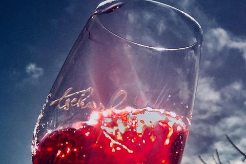 Private Winery Tour Chauffeured - Attractions Sydney 7