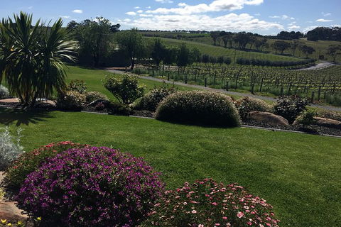 Private Winery Tour Chauffeured - Attractions Sydney 13