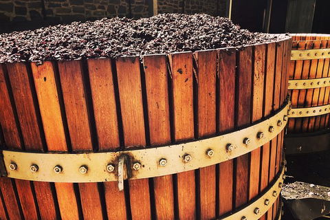 Small Tour Barossa Valley Voyager Tour From Adelaide Or Glenelg - Attractions Sydney 6