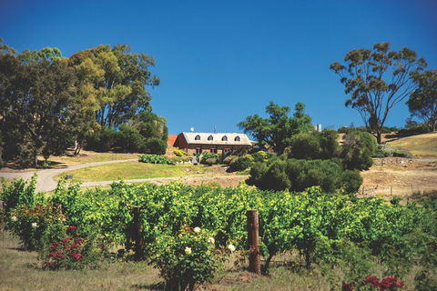 Small Tour Barossa Valley Voyager Tour From Adelaide Or Glenelg - Attractions Sydney 9