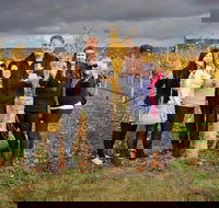 McLaren Vale Winery Small Group Tour with Wine Tasting and Lunch - Attractions Sydney
