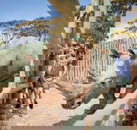 Rhino Interactive and a day at Monarto Safari Park - Attractions Sydney