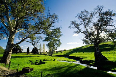 Adelaide Highlights And Hahndorf Tour With Optional River Cruise - Attractions Sydney 0