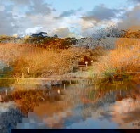 Small-Group Fleurieu Peninsula Food and Wine Experience by 4WD Including 3-Course Lunch - Attractions Sydney