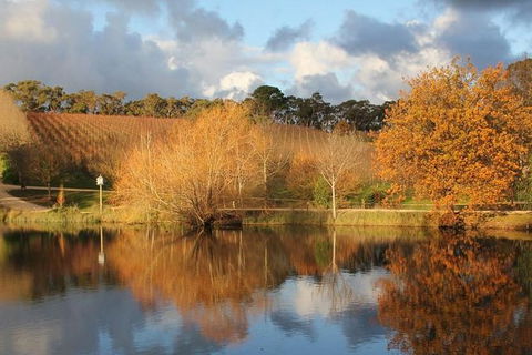 Small-Group Fleurieu Peninsula Food And Wine Experience By 4WD Including 3-Course Lunch - Attractions Sydney 0