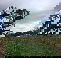 Enjoy an Afternoon In McLaren Vale - Attractions Sydney