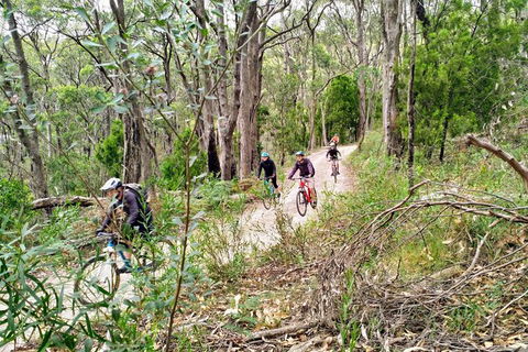 Mount Lofty Descent Bike Tour From Adelaide - Attractions Sydney 5
