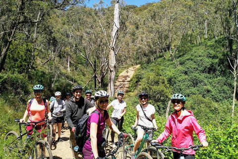 Mount Lofty Descent Bike Tour From Adelaide - Attractions Sydney 2