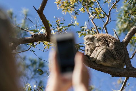 Exceptional Port Lincoln, Seafood And Wildlife Tour - Attractions Sydney 0