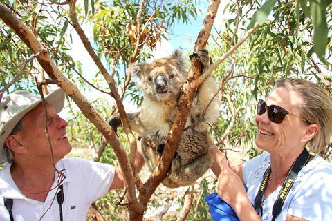 Exceptional Port Lincoln, Seafood And Wildlife Tour - Attractions Sydney 6