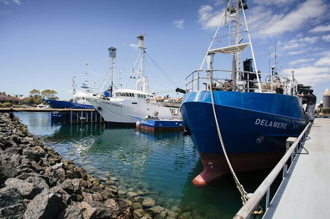 Exceptional Port Lincoln, Seafood And Wildlife Tour - Attractions Sydney 8