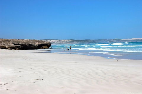 Exceptional Port Lincoln, Seafood And Wildlife Tour - Attractions Sydney 4
