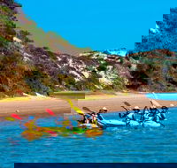 Half-Day Kayaking Tour in Coorong National Park - Attractions Sydney