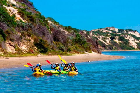 Half-Day Kayaking Tour In Coorong National Park - Attractions Sydney 0