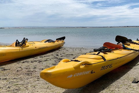Half-Day Kayaking Tour In Coorong National Park - Attractions Sydney 3