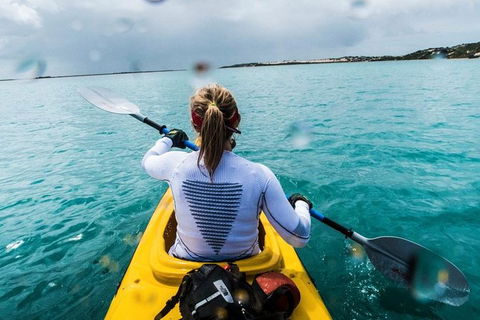 Half-Day Kayaking Tour In Coorong National Park - Attractions Sydney 7