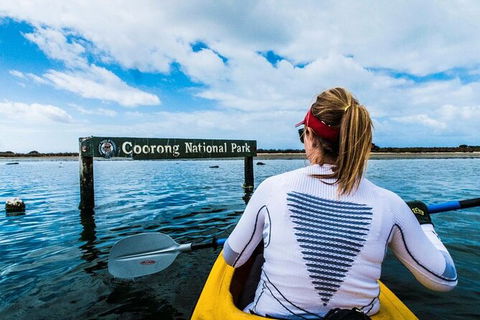 Half-Day Kayaking Tour In Coorong National Park - Attractions Sydney 4