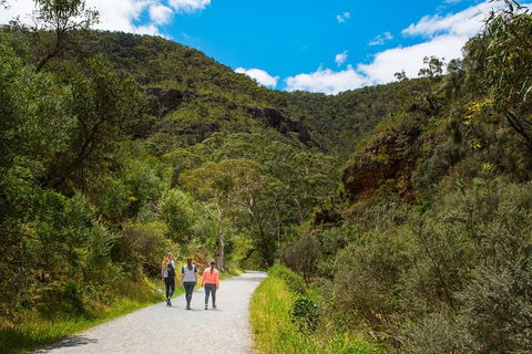 Morialta Wilderness And Wildlife Hike - Day Trip From Adelaide - Attractions Sydney 0