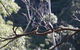 Morialta Wilderness And Wildlife Hike - Day Trip From Adelaide - thumb 5