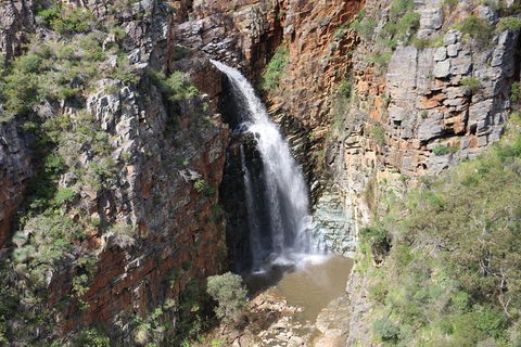 Morialta Wilderness And Wildlife Hike - Day Trip From Adelaide - Attractions Sydney 7