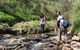 Morialta Wilderness And Wildlife Hike - Day Trip From Adelaide - thumb 6