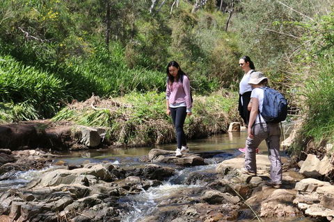 Morialta Wilderness And Wildlife Hike - Day Trip From Adelaide - Attractions Sydney 6
