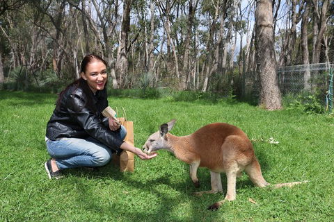 Cleland Wildlife Park Tour From Adelaide Including Mount Lofty Summit - Attractions Sydney 1
