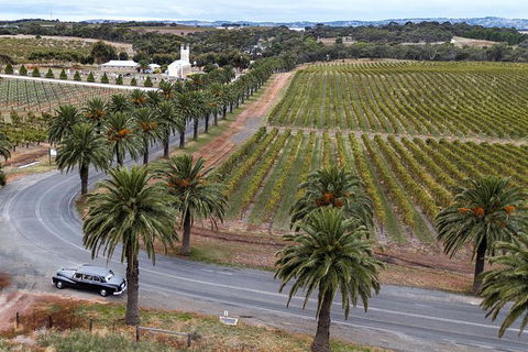 Private Barossa Valley Winery Tour By Classic 1962 Daimler From The Barossa Valley - Attractions Sydney 6