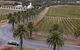 Private Barossa Valley Winery Tour By Classic 1962 Daimler From The Barossa Valley - thumb 8
