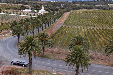 Private Barossa Valley Winery Tour By Classic 1962 Daimler From The Barossa Valley - Attractions Sydney 8