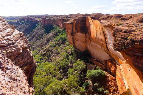 6-Day Rock Patrol Trip Adelaide To Alice Springs Or Uluru - Attractions Sydney 8